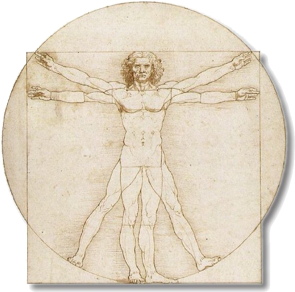 Plaatjes Leonardo da vinci Leonardo Da Vinci Vitrusman