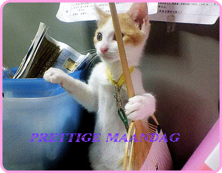 animaatjes-maandag-20753.gif