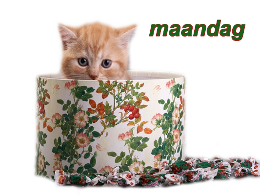 animaatjes-maandag-277516.png