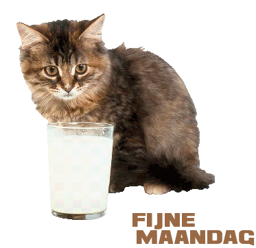 animaatjes-maandag-3131210.gif