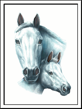 paarden