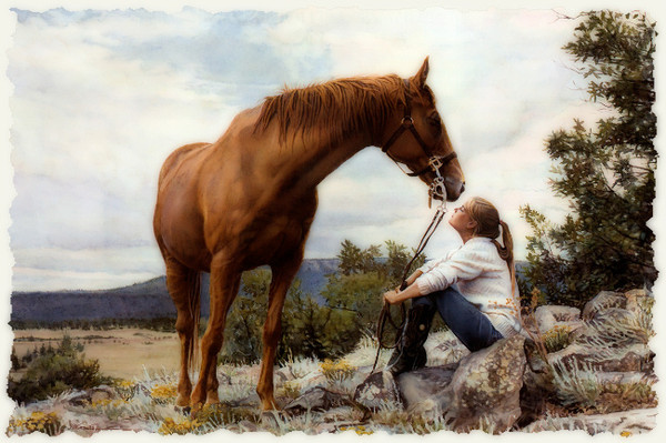 paarden