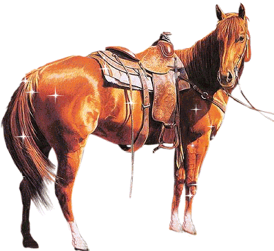 paarden