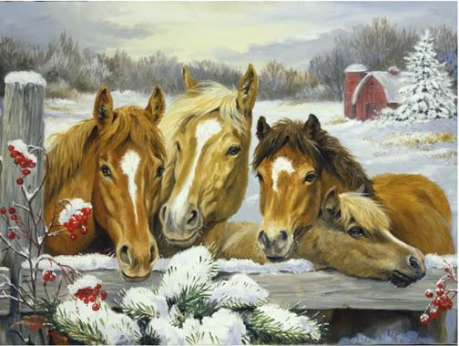 paarden