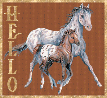 paarden