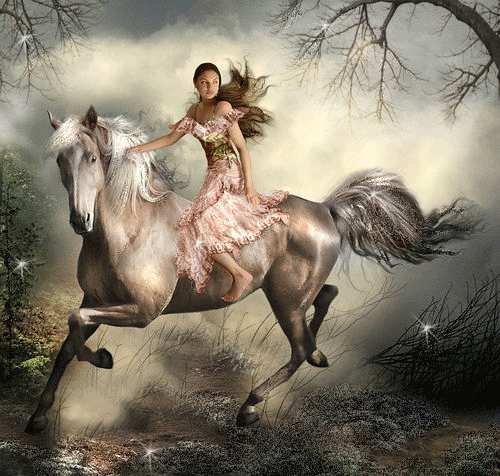 vrouw op paard glitter