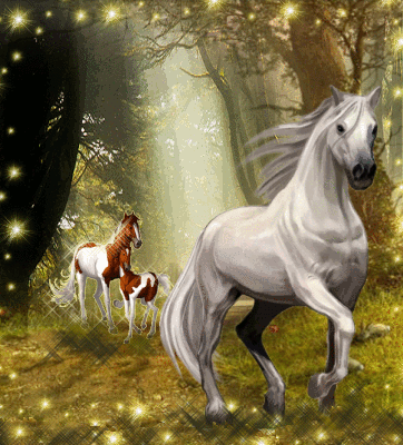 paarden