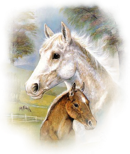 paarden