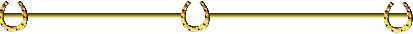 paarden/paardenplaatjesgifjesaa1_9.gif