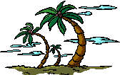 Plaatjes Palmbomen 