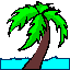 Plaatjes Palmbomen 