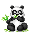 Panda Plaatjes 