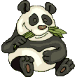 Panda Plaatjes Pandbeer Die Bamboo Aan Het Eten Is