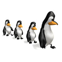 Pinguins Plaatjes Pinguins Wandelen In Een Rij
