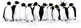 Pinguins Plaatjes Groep Pinguins Eentje Met Kuif