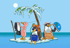 Pinguins Plaatjes Pinguins Op Vakantie