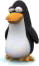 Pinguins Plaatjes Pinguin Die Raar Kijkt