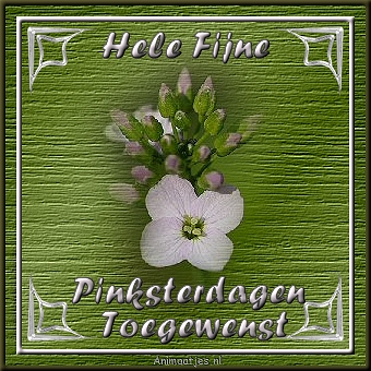 fijnepinksterdagen.jpg