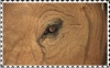 Plaatjes Postzegels olifant 