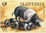 Plaatjes Postzegels Postzegel Varken Slovenija