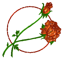 Rozen plaatjes