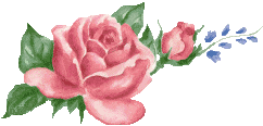 Rozen plaatjes