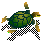 Schildpadden Plaatjes 