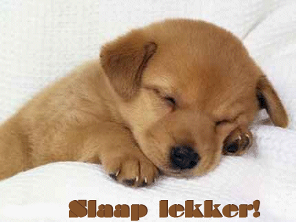 slaap_lekker/1.gif