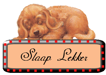slaap_lekker/trusten23516420764.gif
