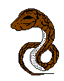 Slangen Plaatjes 