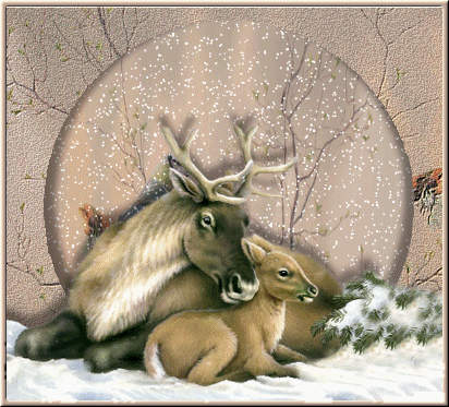 Image Hosted by ImageShack.us