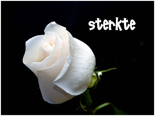 http://www.animaatjes.nl/plaatjes/s/sterkte/animaatjes-sterkte-0004211.jpg