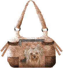 Tassen Plaatjes Damestas Yorkshire Terrier