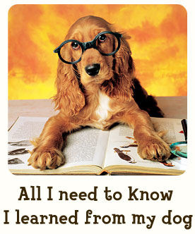 learndog.jpg