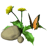 steen met bloem en vlinder