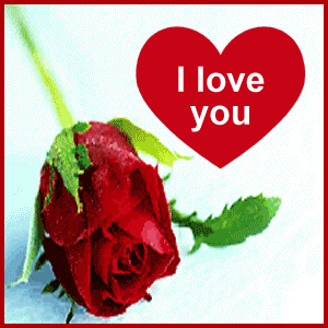 Valentijn Plaatjes I Love You Forever Roos