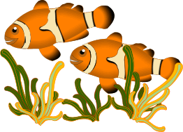 Afbeeldingsresultaat voor bewegende animaties vis