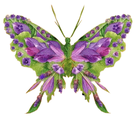 vlinders