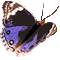 vlinders