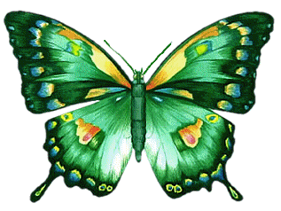 vlinders