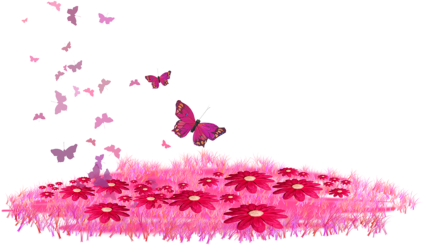 vlinders