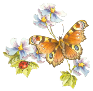 vlinder met lieveheersbeestje