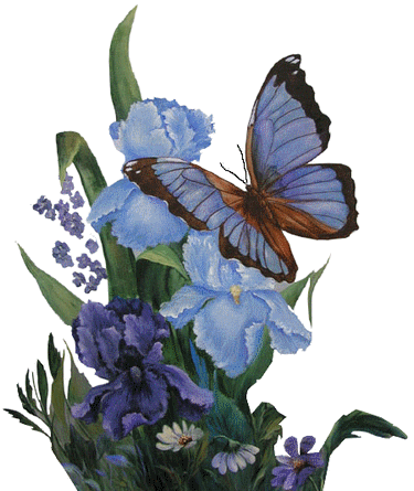 De Spirituele Vlinder Forum Index