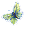 vlinders