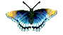 vlinders/butterfly069.gif