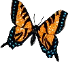 vlinders/i153670889_24366.gif