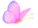 vlinders/vlinderkleuren.gif