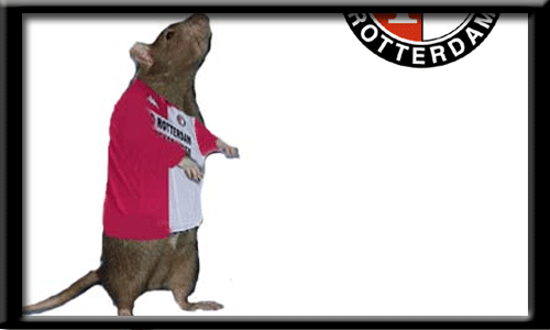 1111232681feyenoord.gif