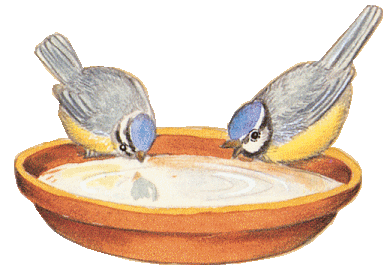 Vogels