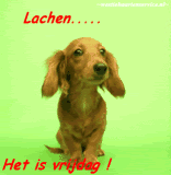 Vrijdag